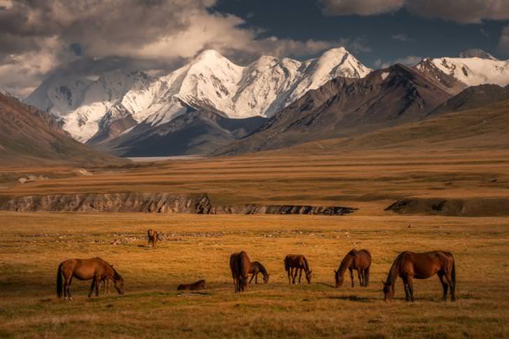 Veja o Quirguistão pelas lentes de Albert Dros