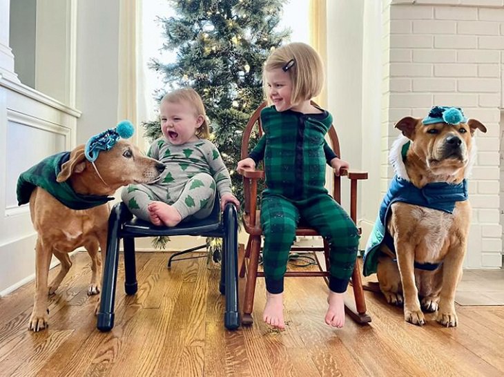 Retratos de família com cães