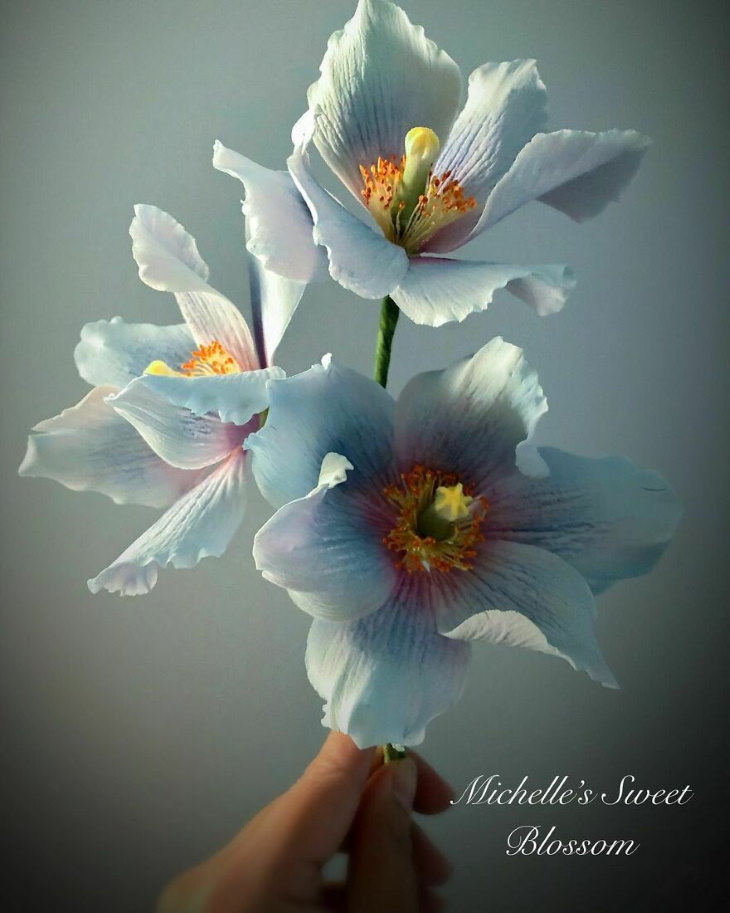Flores de açúcar Michelle Nguyen