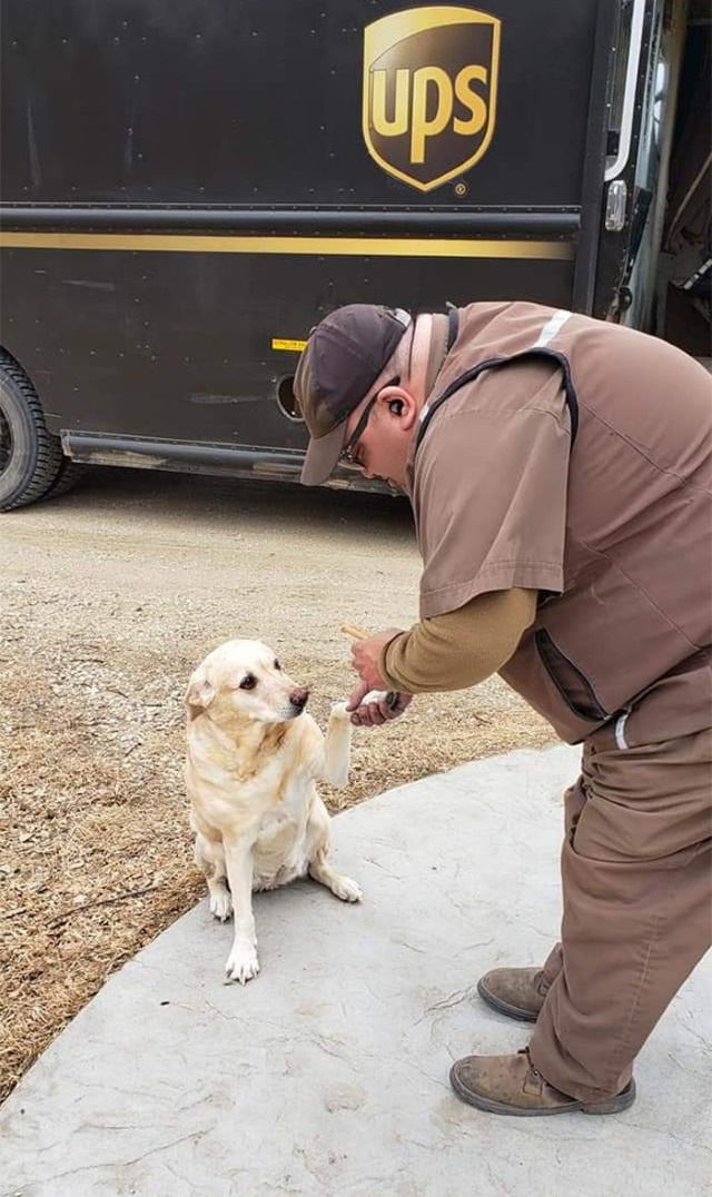 Motoristas da UPS tiram fotos com cães
