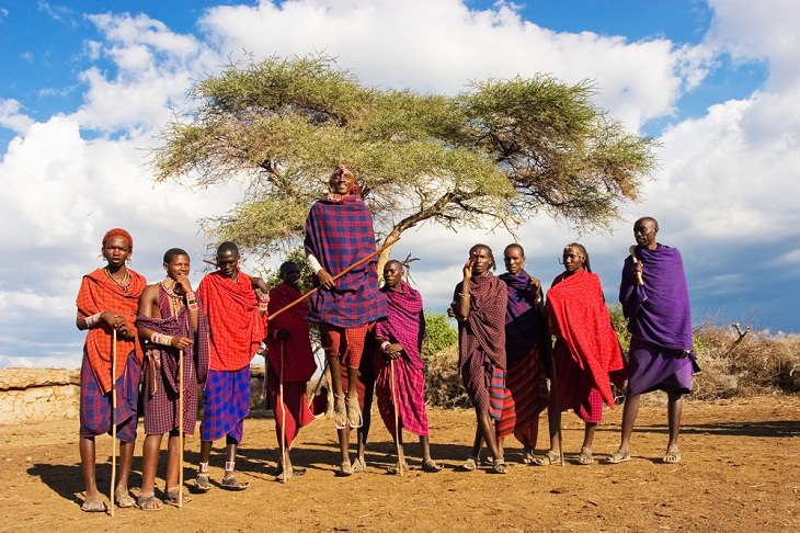 Sete fatos intrigantes sobre a savana africana