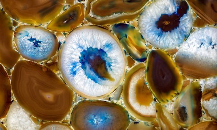17 Objetos comuns através de lentes microscópicas