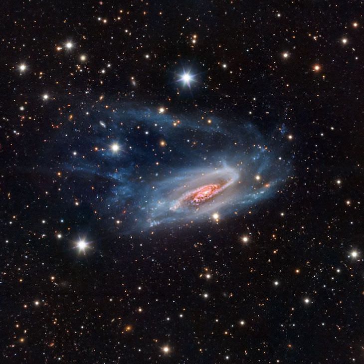 Astronomy Photographer of the Year Finalists 9. NGC 3981, de Bernard Miller, Estados Unidos