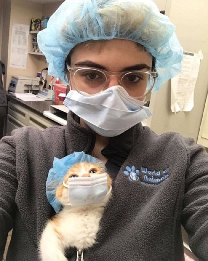 Fotos de veterinários com bichinhos fofos