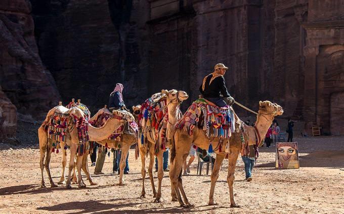 Teste de Verdadeiro Falso sobre Geografia Mundial: Camel Riders na Jordânia