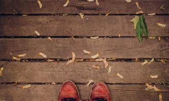 Encontre as diferenças no outono: folhas em um piso de madeira