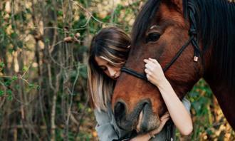 Você é empático ou simpático: cavalo e mulher