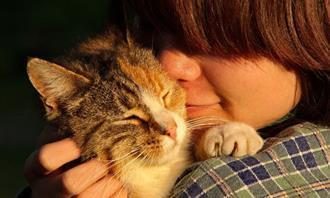 Você é empático ou simpático: gato e mulher