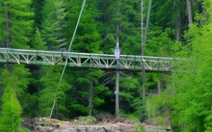 Inteligência artificial ou imagem real: uma ponte na floresta