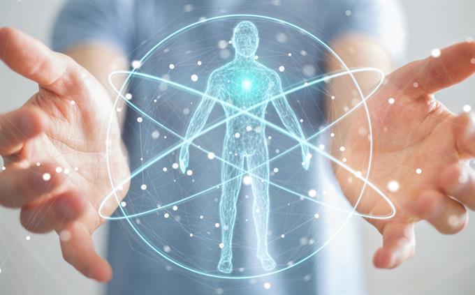 Curiosidades do Corpo Humano: Um holograma do corpo humano