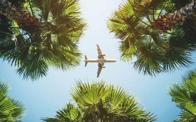 Que fenômeno natural reflete quem você é: um avião acima das árvores