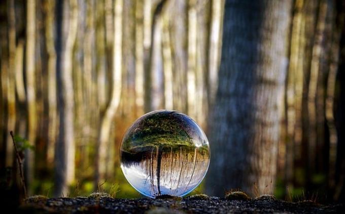 Um teste de percepção perceptiva: uma bola de vidro na floresta