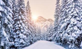 Em que momento do dia você está: um caminho na natureza no inverno