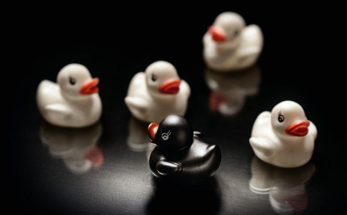 Qual é a lenda que conta a história da sua vida: um pato preto entre patos brancos