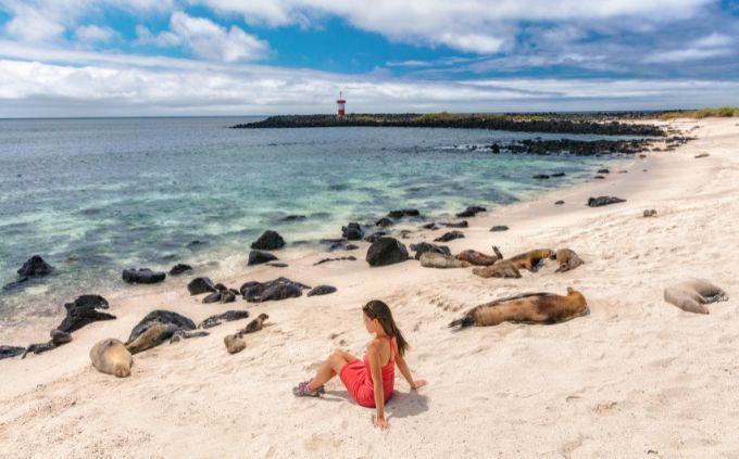 Sites do Patrimônio Mundial Trivia: uma mulher ao lado de focas nas Ilhas Galápagos