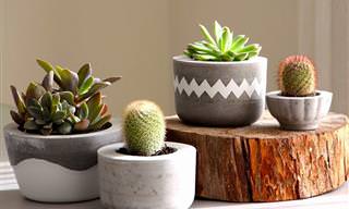 Como fazer seus vasos de planta decorativos em casa
