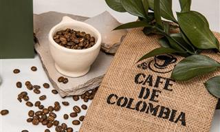 Explorando a região mágica do café da Colômbia!