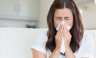 Tratamentos Naturais Para Alergia à Poeira
