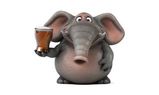 Piada: O Elefante de Estimação