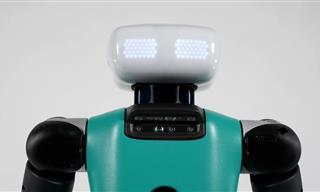 Este robô pode se juntar à força de trabalho muito em breve...