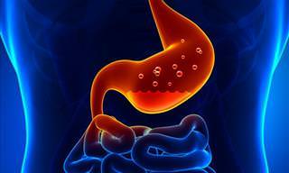6 Sintomas de Doenças e Problemas Gastrointestinais