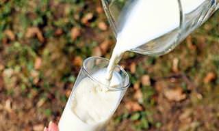 5 Alimentos Lácteos Seguros Para Quem é Sensível à Lactose