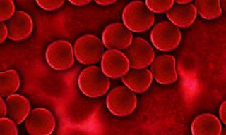 Como Identificar e Tratar a Má Circulação Sanguínea
