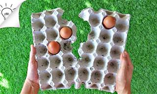 8 Ideias Criativas Com Uma Caixa de Ovos