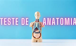 Você conhece bem a anatomia humana?