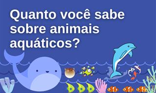 O que você sabe sobre animais aquáticos?