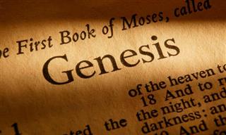 Você conhece bem o livro do Gênesis?
