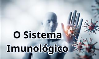 O que você sabe sobre seu <b>sistema</b> imunológico?