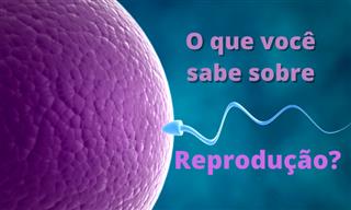Quanto você sabe sobre reprodução <b>humana</b>?