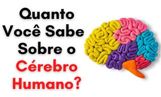 Você conhece bem <b>o</b> cérebro humano?